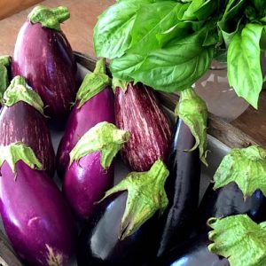 Fresh basil and eggplant