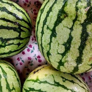 Mouth watering melons