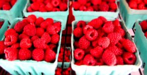 Farm raised raspberries
