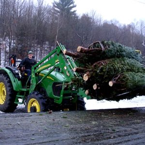 Christmas Trees arriving at the farm