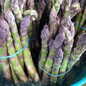 asparagus first crop of the season