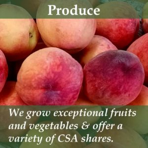 We grow exceptional fruits and vegetables and offer CSA shares.