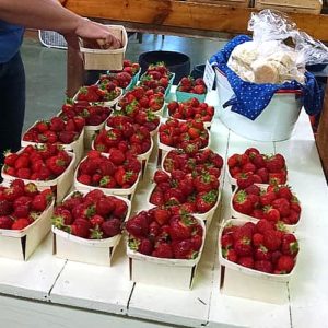 Luscious strawberries from our fields.